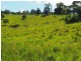 Lot 5 Cedar Pocket Road, Cedar Pocket QLD 4570