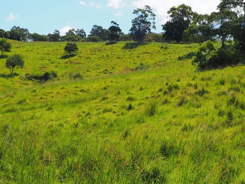 Lot 5 Cedar Pocket Road, Cedar Pocket QLD 4570