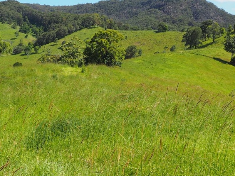 Lot 5 Cedar Pocket Road, Cedar Pocket QLD 4570