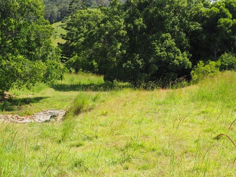 Lot 5 Cedar Pocket Road, Cedar Pocket QLD 4570