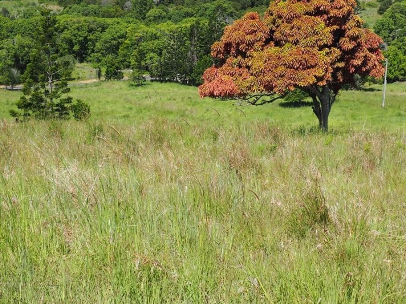 Lot 5 Cedar Pocket Road, Cedar Pocket QLD 4570