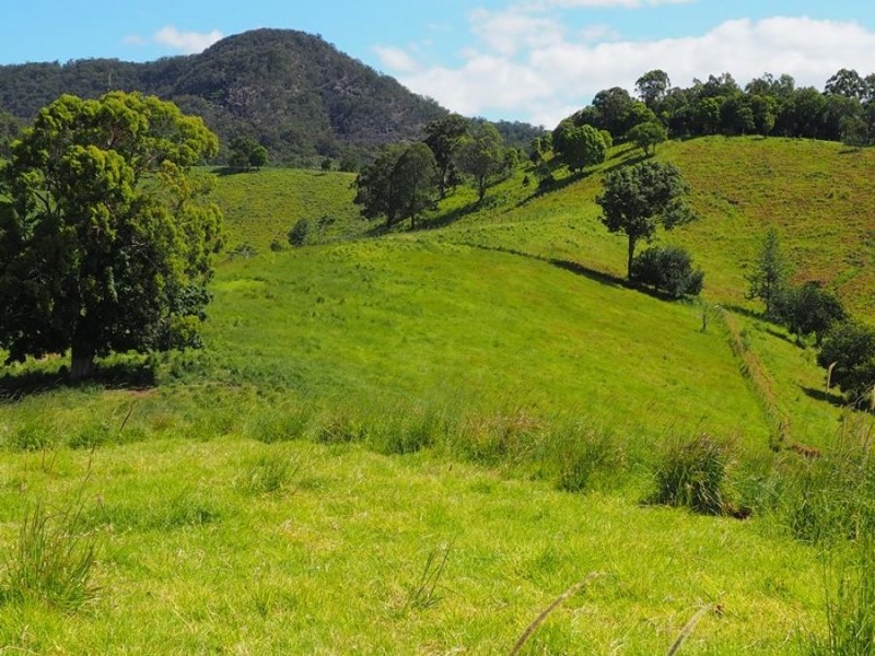 Lot 5 Cedar Pocket Road, Cedar Pocket QLD 4570