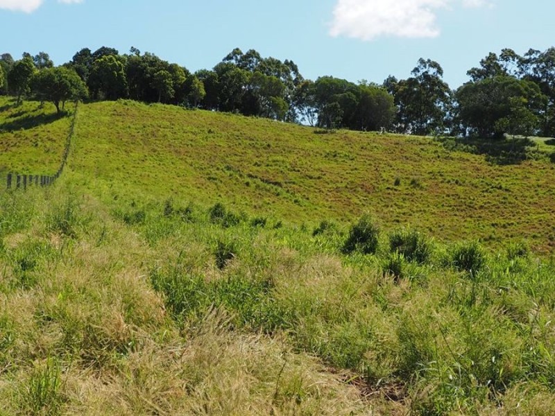 Lot 5 Cedar Pocket Road, Cedar Pocket QLD 4570