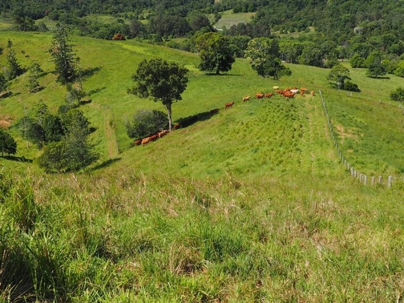 Lot 5 Cedar Pocket Road, Cedar Pocket QLD 4570