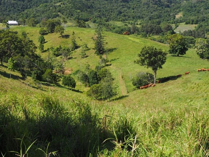 Lot 5 Cedar Pocket Road, Cedar Pocket QLD 4570