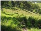 Lot 5 Cedar Pocket Road, Cedar Pocket QLD 4570