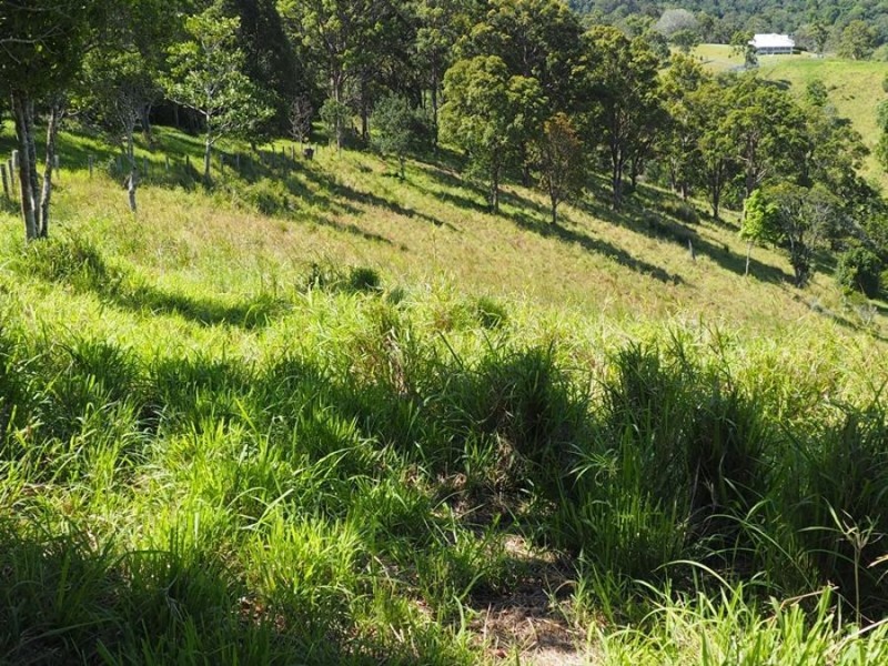 Lot 5 Cedar Pocket Road, Cedar Pocket QLD 4570