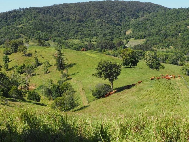 Lot 5 Cedar Pocket Road, Cedar Pocket QLD 4570