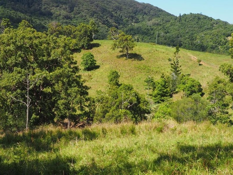 Lot 5 Cedar Pocket Road, Cedar Pocket QLD 4570