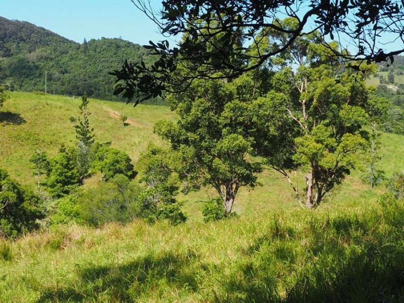 Lot 5 Cedar Pocket Road, Cedar Pocket QLD 4570