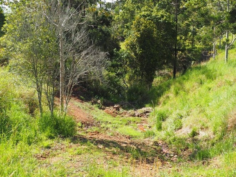 Lot 5 Cedar Pocket Road, Cedar Pocket QLD 4570