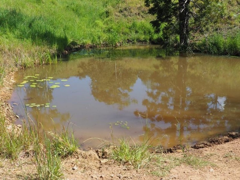 Lot 5 Cedar Pocket Road, Cedar Pocket QLD 4570