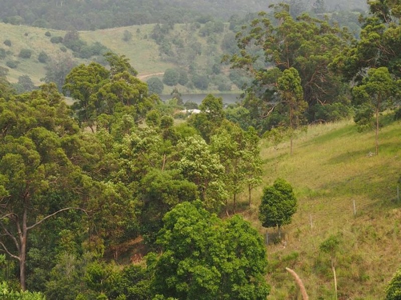 Lot 5 Cedar Pocket Road, Cedar Pocket QLD 4570