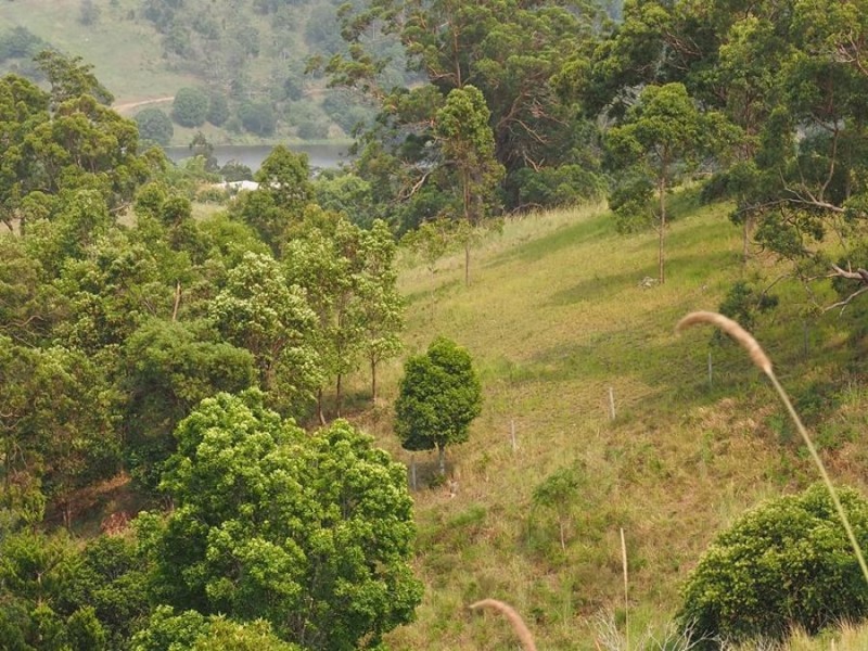 Lot 5 Cedar Pocket Road, Cedar Pocket QLD 4570