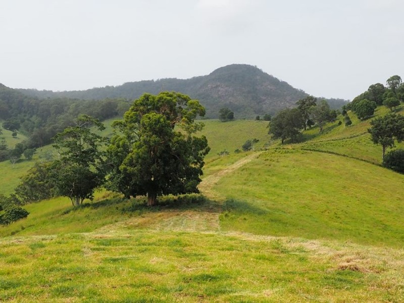 Lot 5 Cedar Pocket Road, Cedar Pocket QLD 4570