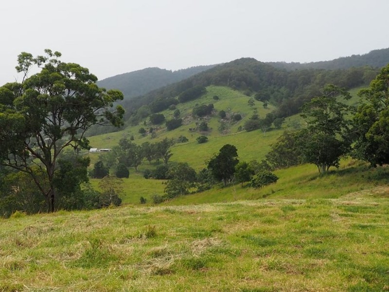 Lot 5 Cedar Pocket Road, Cedar Pocket QLD 4570