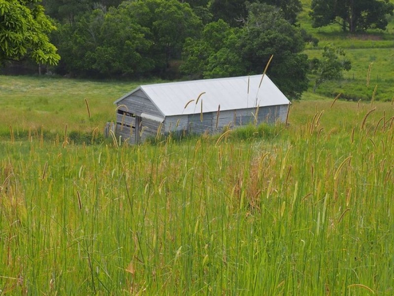 Lot 5 Cedar Pocket Road, Cedar Pocket QLD 4570