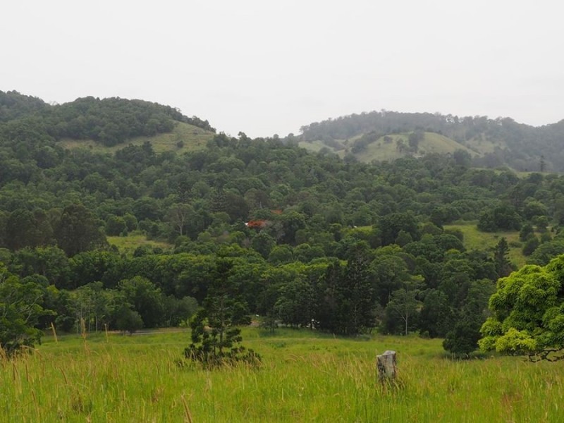 Lot 5 Cedar Pocket Road, Cedar Pocket QLD 4570
