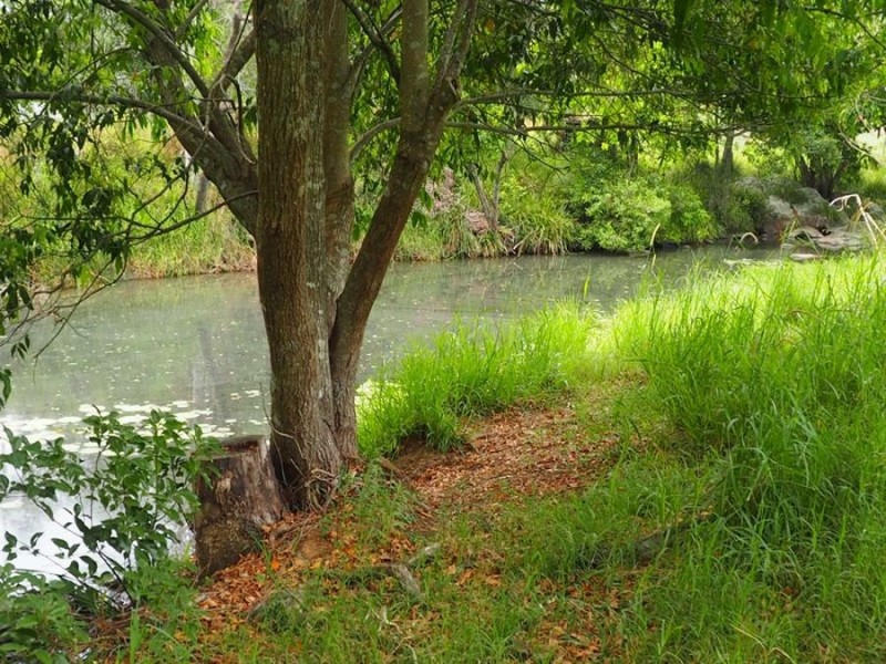 Lot 5 Cedar Pocket Road, Cedar Pocket QLD 4570