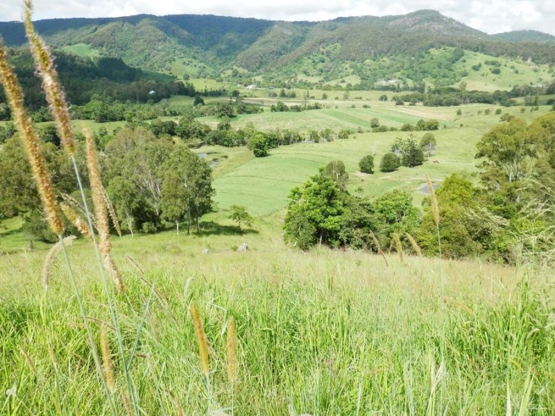 Cedar Pocket QLD 4570