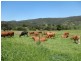 Cedar Pocket QLD 4570