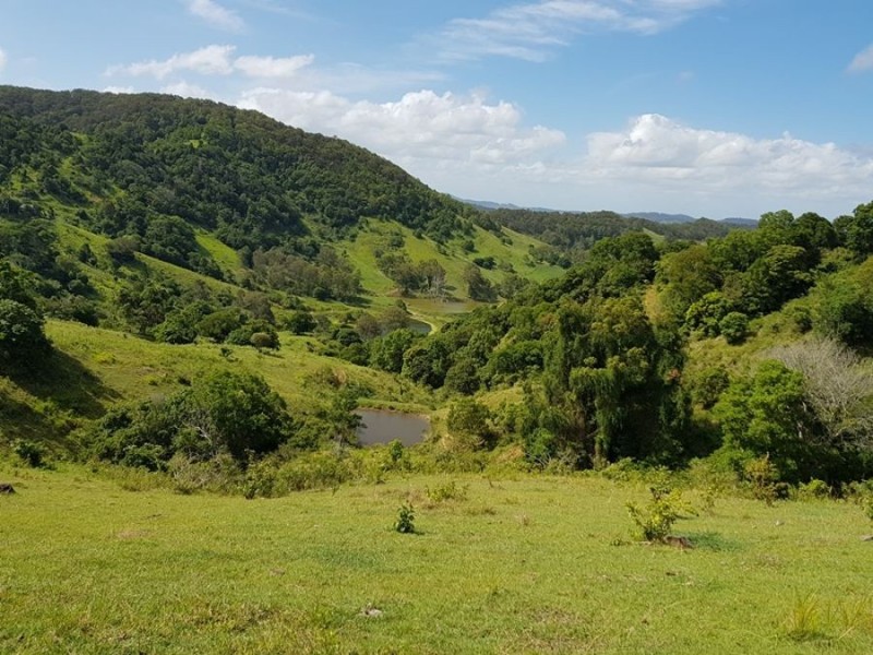 Lot 4 92 Gap Road, Cedar Pocket QLD 4570