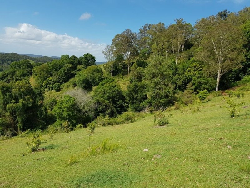 Lot 4 92 Gap Road, Cedar Pocket QLD 4570