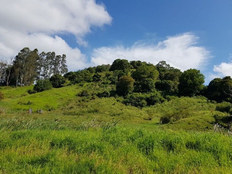Lot 4 92 Gap Road, Cedar Pocket QLD 4570