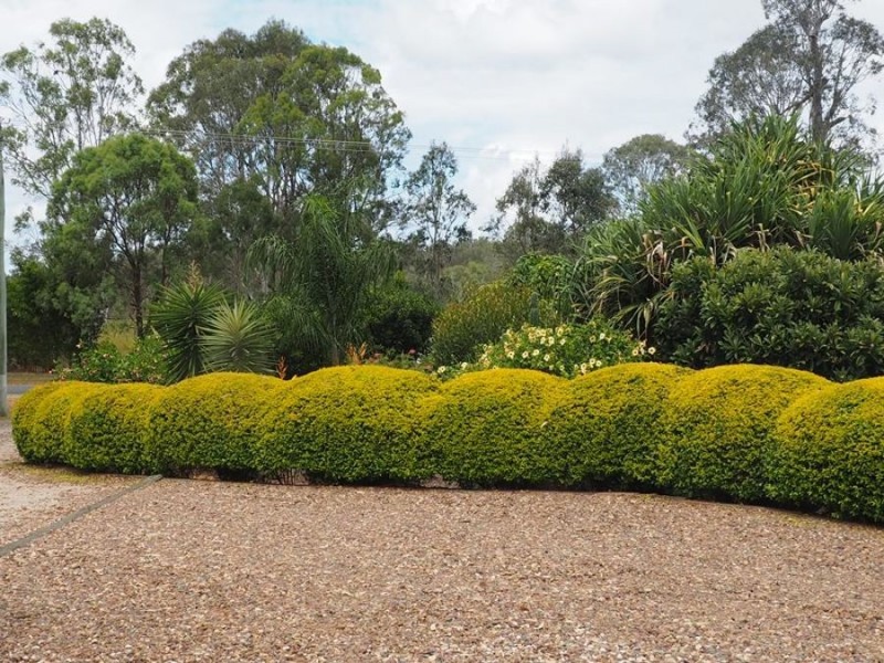 57 Tiaro Street North, Tiaro QLD 4650