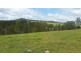 499 Rocks Road, Pie Creek QLD 4570