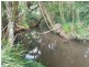 Wolvi QLD 4570