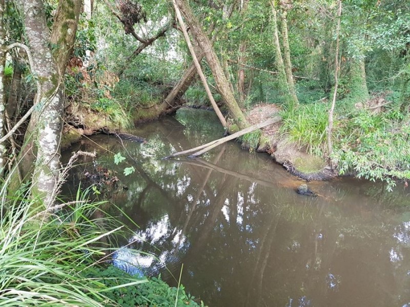 Wolvi QLD 4570