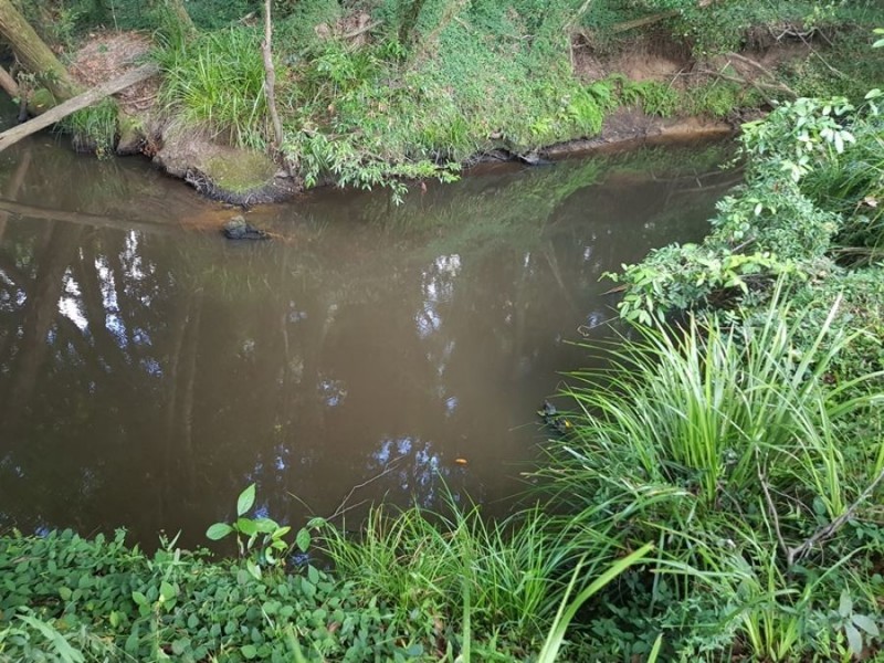 Wolvi QLD 4570