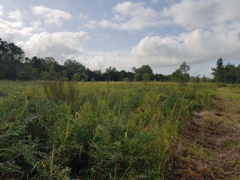 Wolvi QLD 4570