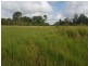 Wolvi QLD 4570