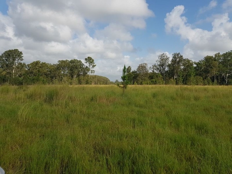 Wolvi QLD 4570