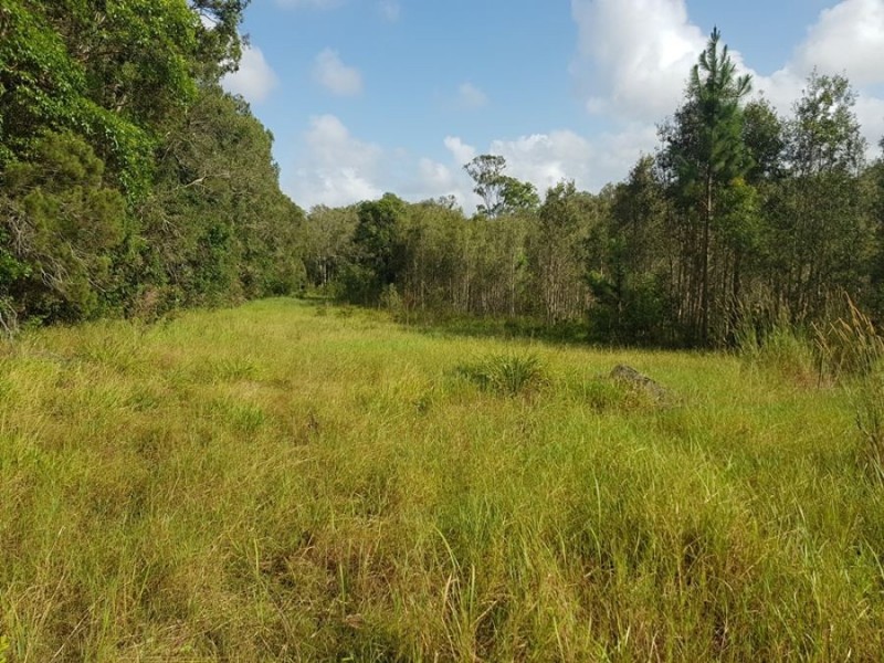 Wolvi QLD 4570