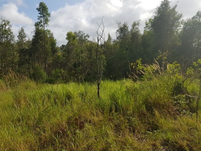 Wolvi QLD 4570