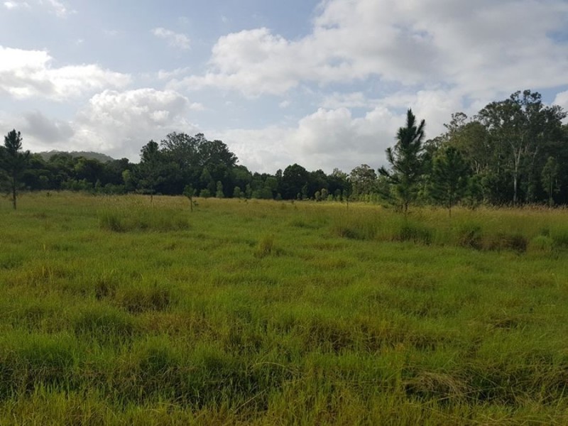 Wolvi QLD 4570