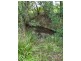 518 North deep Creek Road, North Deep Creek QLD 4570
