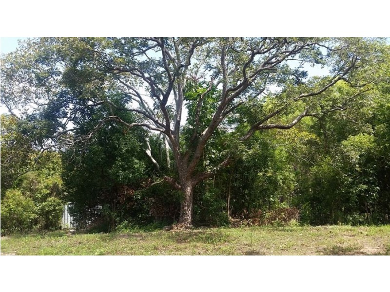 Mothar Mountain QLD 4570