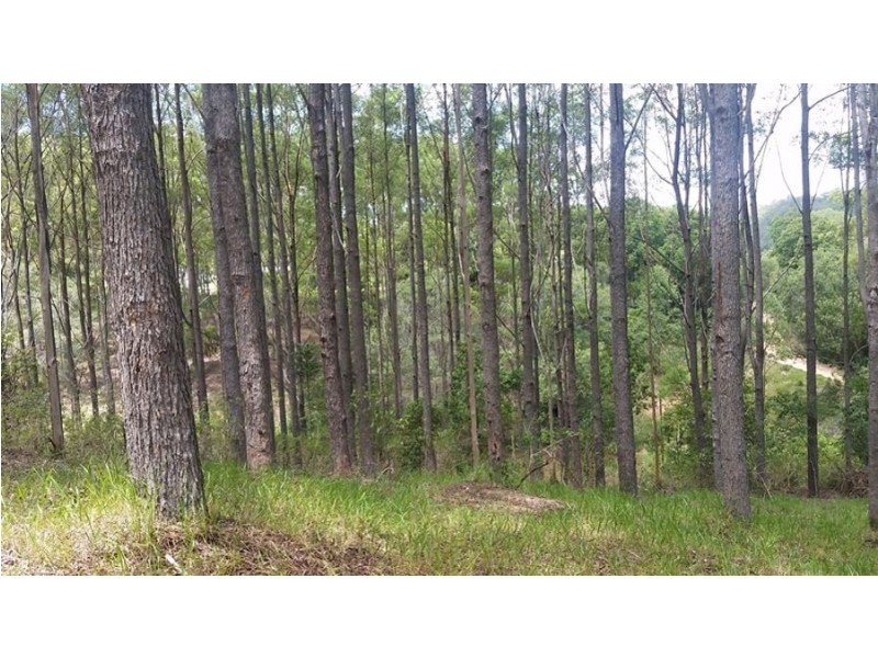 Mothar Mountain QLD 4570