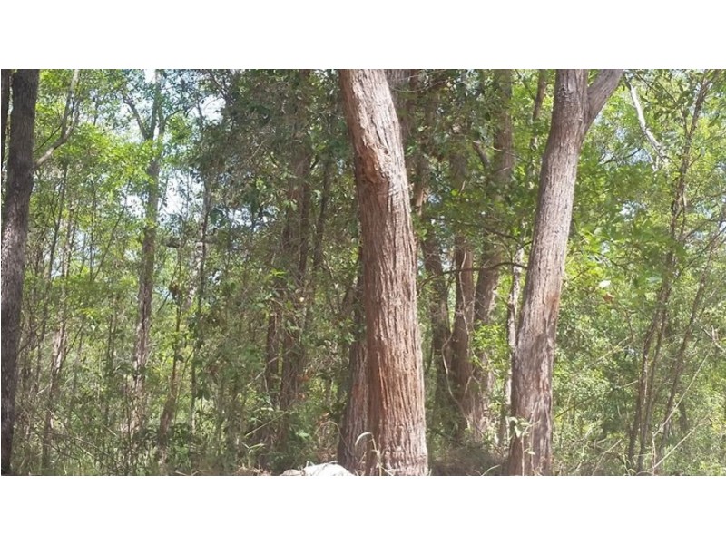 Mothar Mountain QLD 4570