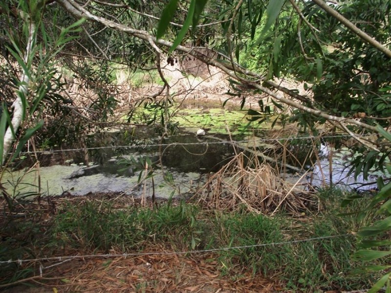 121 Horton Road, Chatsworth QLD 4570