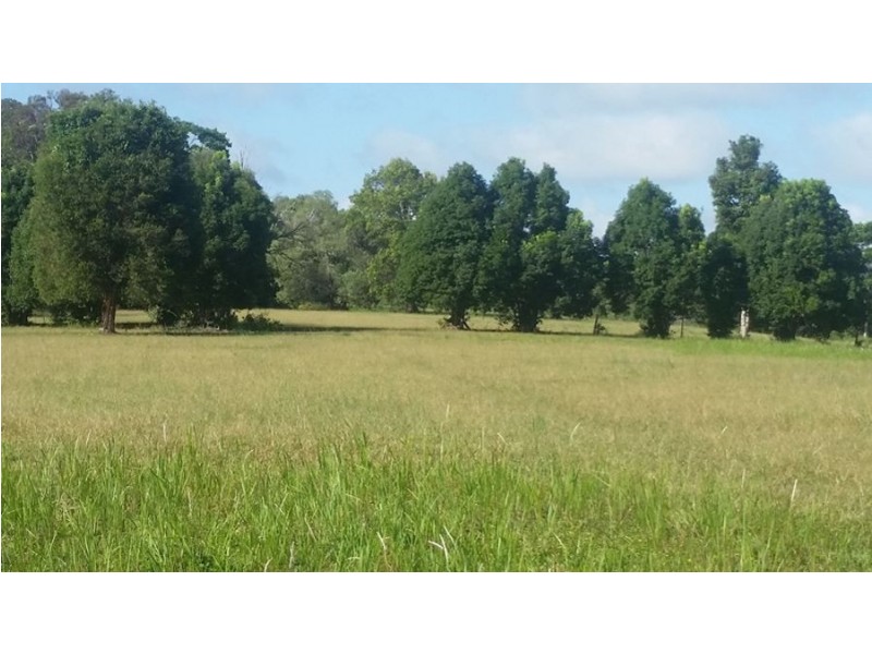 180 Cooroy Mountain Road, Cooroy QLD 4563