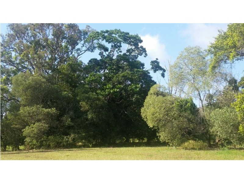 180 Cooroy Mountain Road, Cooroy QLD 4563