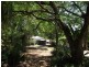 61 Window Road, Canina QLD 4570