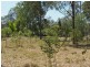 456 Power Road, Widgee QLD 4570