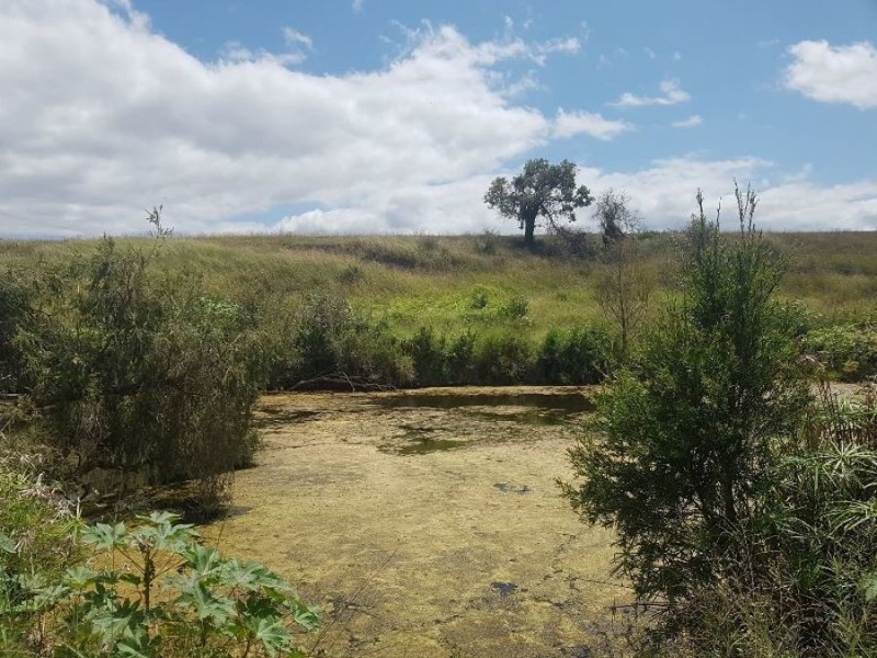 Off Bauple Woolooga Road, Woolooga QLD 4570
