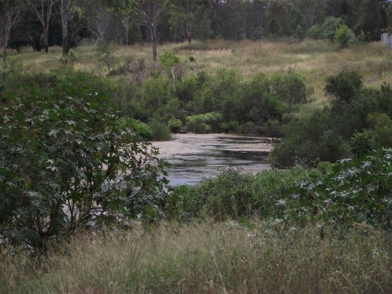 Off Bauple Woolooga Road, Woolooga QLD 4570